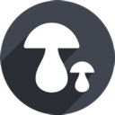 Mogu Paid VPN, 蘑菇请将以下文本进行改写，尽量使其与原文有较大不同。务必保留可能存在的token，例如付费机场榜单。如果token的前缀是[custom:]，请确保保留该格式和拼写。文本如下： 付费机场